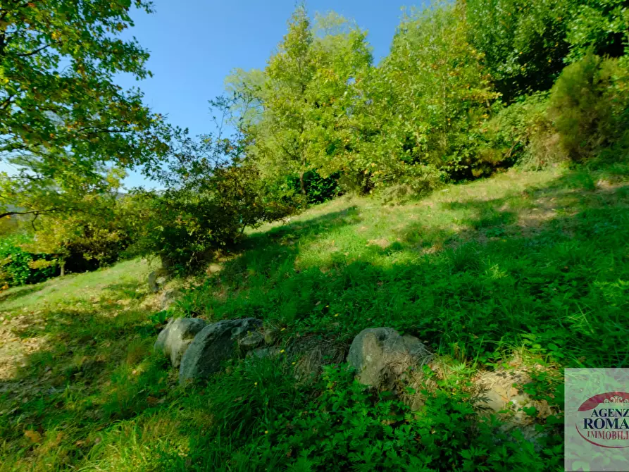 Immagine 20 di Casa indipendente in vendita  in Località la Pineta 27 a Pontinvrea