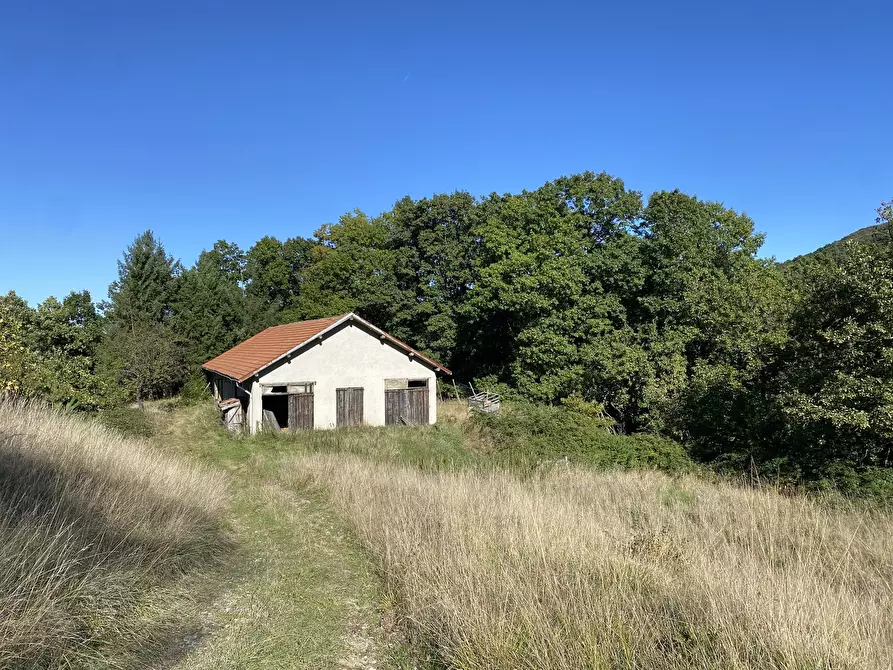 Immagine 6 di Casa indipendente in vendita  in Località Chiapuzzo 8 a Sassello