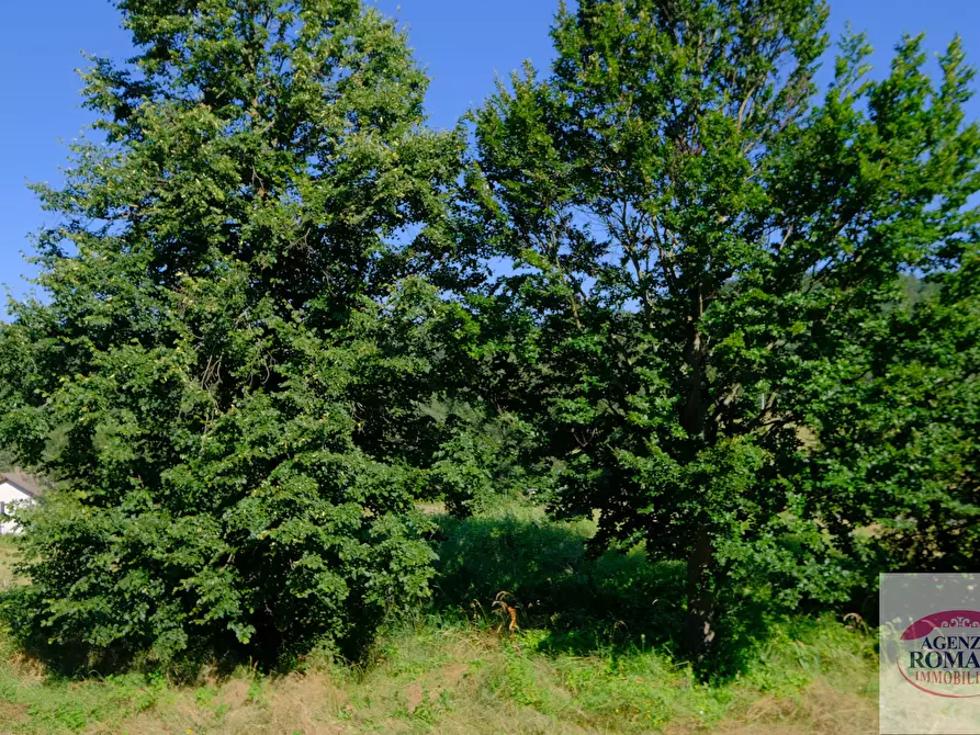 Immagine 27 di Casa trifamiliare in vendita  in località GROSSA a Sassello