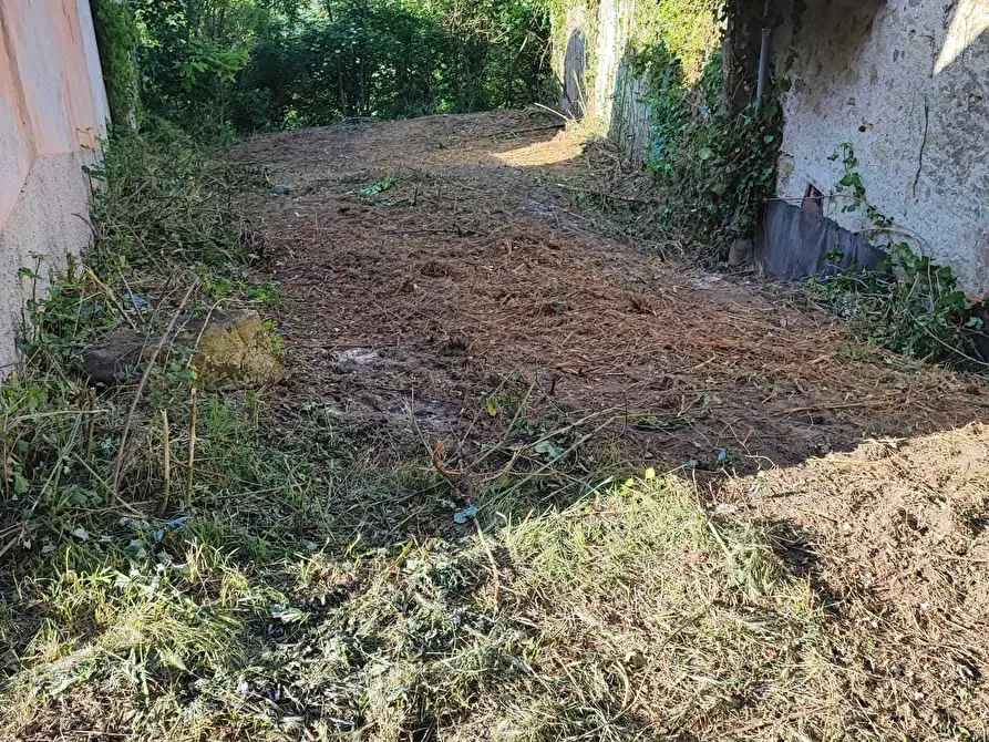 Immagine 5 di Rustico / casale in vendita  in Via al Castello 37 a Pareto
