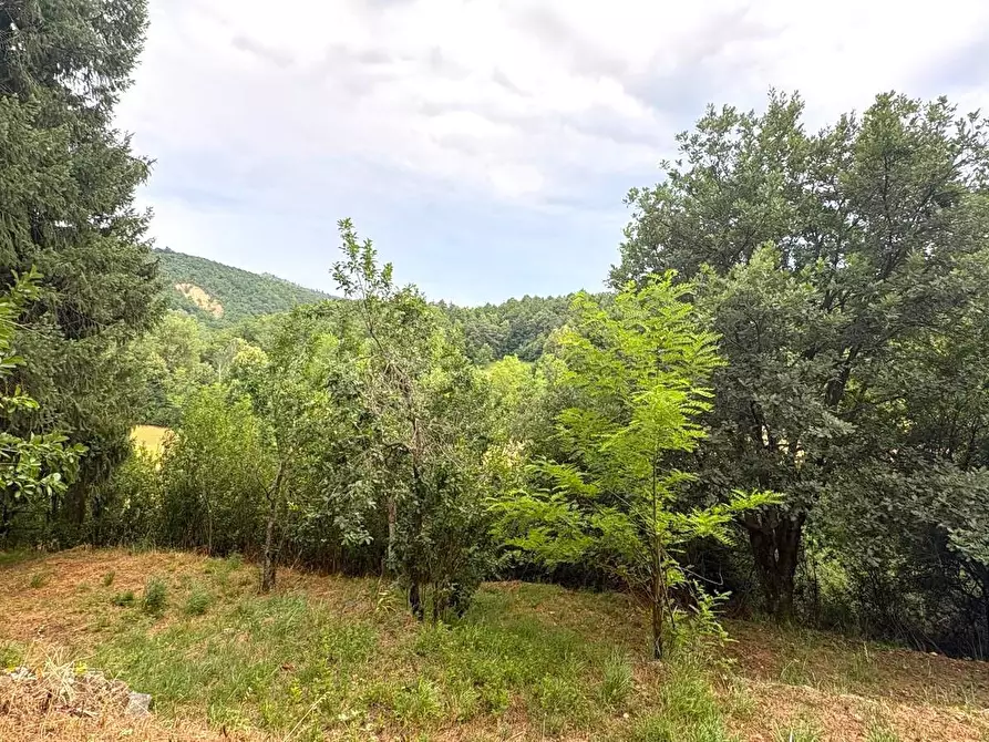Immagine 55 di Rustico / casale in vendita  in SP216 6 a Pareto