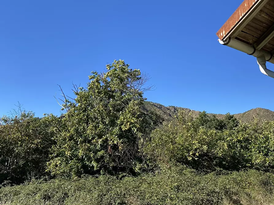 Immagine 21 di Casa indipendente in vendita  in Località Chiapuzzo 8 a Sassello