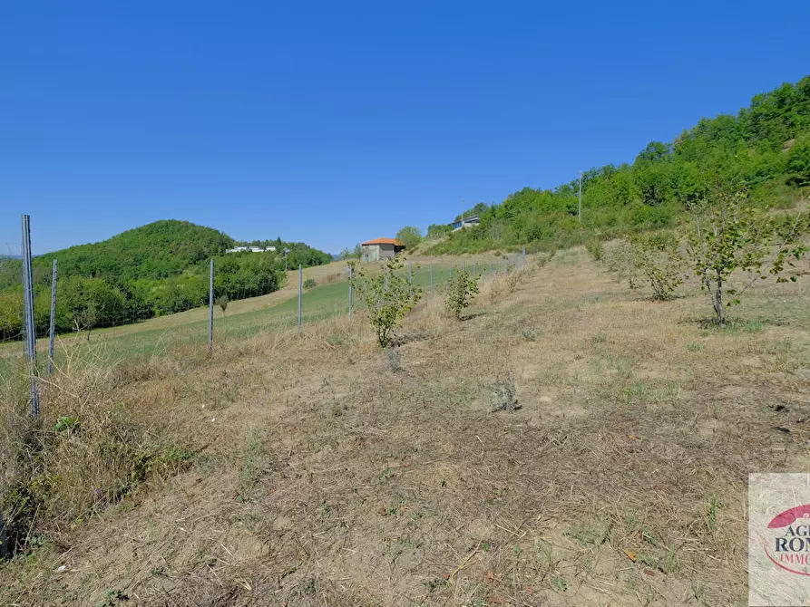 Immagine 20 di Rustico / casale in vendita  in regione Pianlago 110 a Ponzone