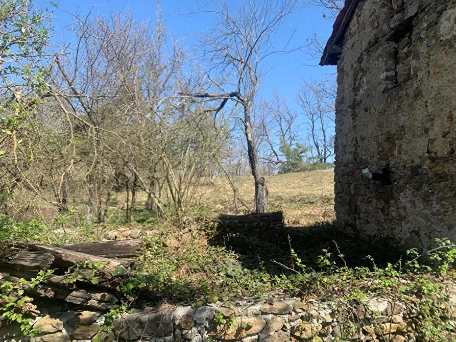 Immagine 13 di Rustico / casale in vendita  a Dego