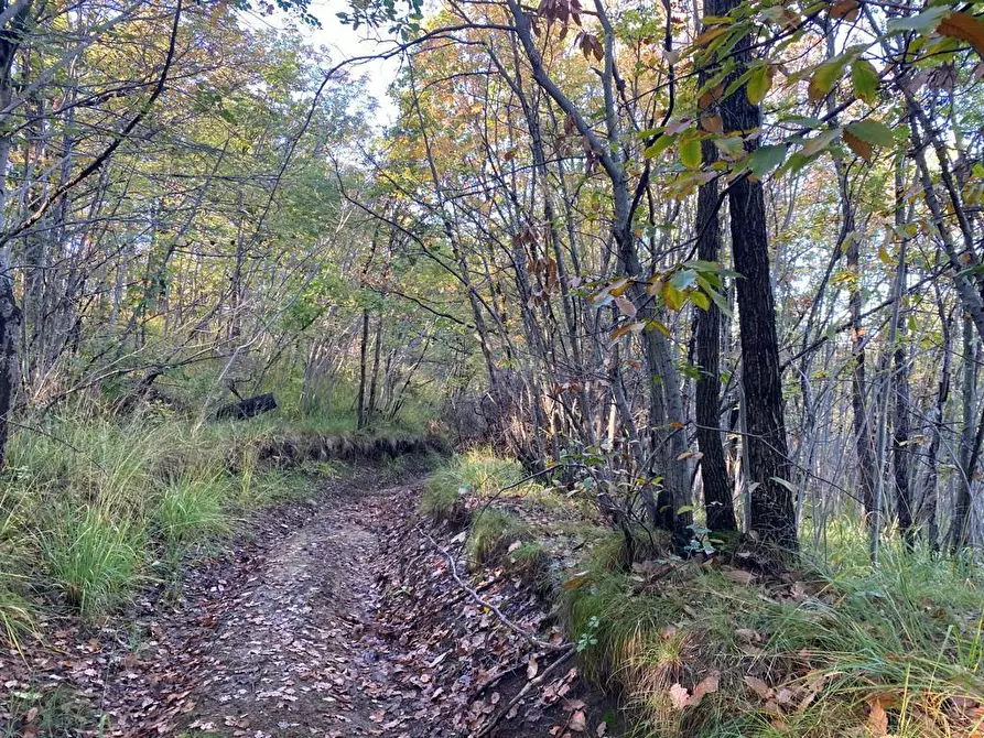 Immagine 17 di Rustico / casale in vendita  in Loc Ormei a Ponzone