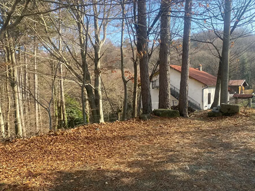 Immagine 17 di Casa indipendente in vendita  a Urbe