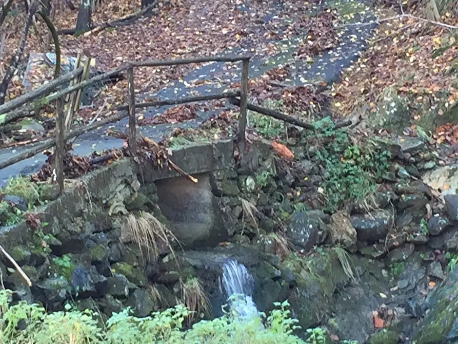 Immagine 5 di Rustico / casale in vendita  a Sassello