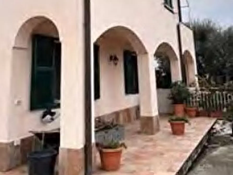 Immagine 7 di Attività artigianale in vendita  in Strada Cascine Lunaire 23 a San Remo