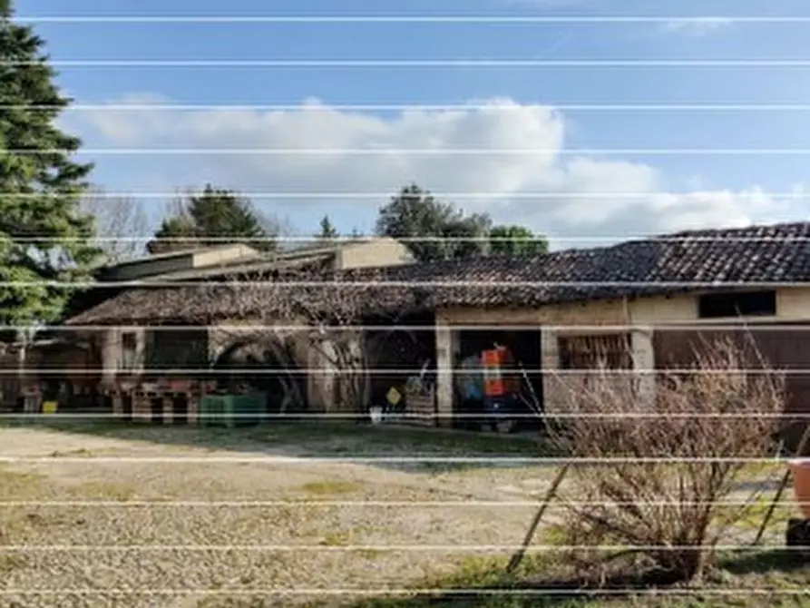 Immagine 3 di Pentalocale in vendita  in Strada Ceroggia 3 a Castelnuovo Scrivia