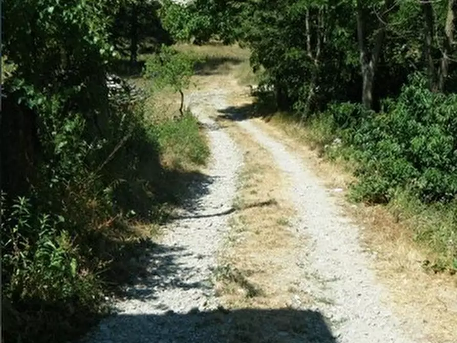 Immagine 10 di Villa in vendita  in Regione San Michele 3 a Castelletto Uzzone