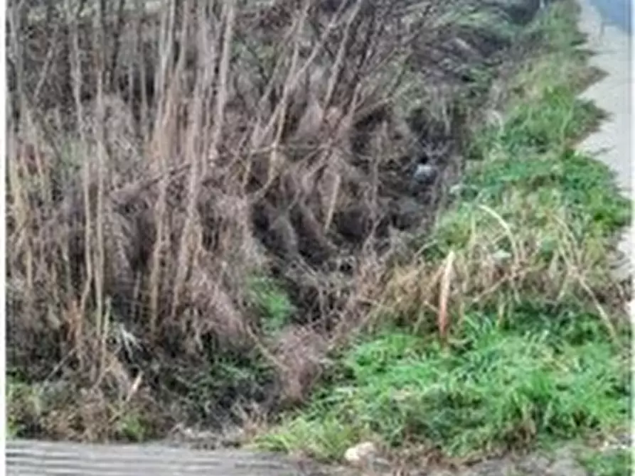 Immagine 5 di Terreno edificabile in vendita  in Regione Fontane snc a Strevi