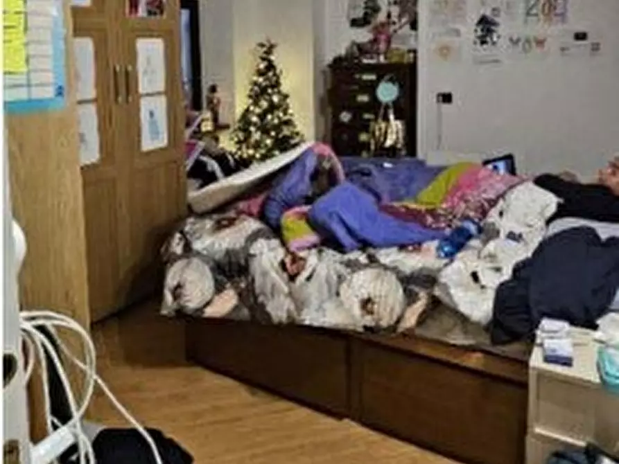 Immagine 7 di Pentalocale in vendita  in Via Benedetto Macciò 17 a Masone