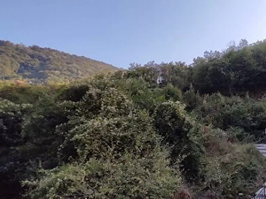 Immagine 4 di Terreno agricolo in vendita  in Via Geminiano snc a Genova