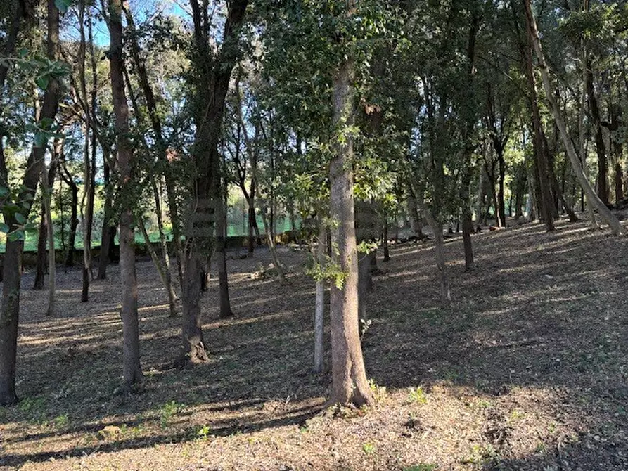 Immagine 3 di Terratetto in vendita  in Via Ombrosa 8 a Livorno