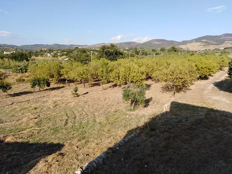 Immagine 21 di Villa in vendita  a Chiaramonte Gulfi