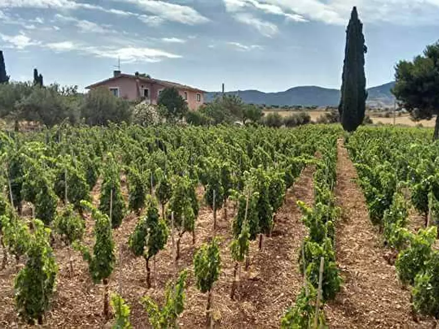 Immagine 6 di Villa in vendita  a Chiaramonte Gulfi