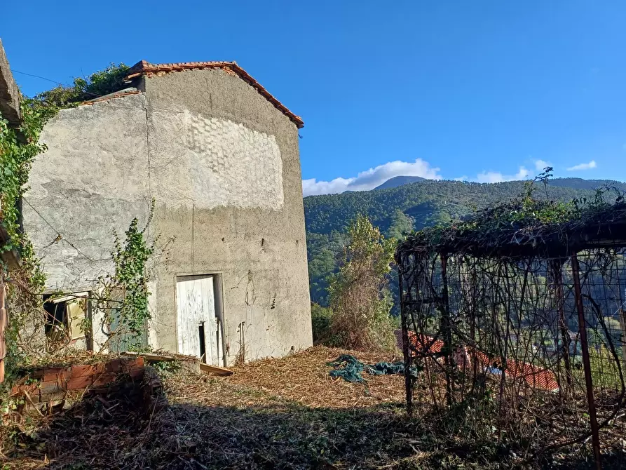 Immagine 14 di Rustico / casale in vendita  in Via Olivella Caminata 17 a Casarza Ligure