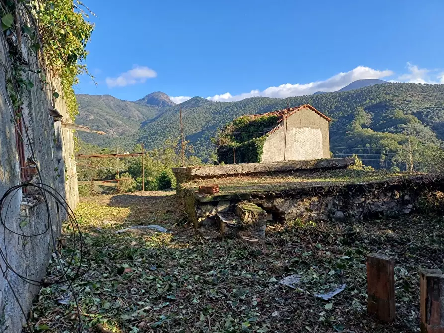Immagine 11 di Rustico / casale in vendita  in Via Olivella Caminata 17 a Casarza Ligure