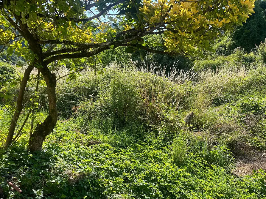 Immagine 2 di Porzione di casa in vendita  in Via IV Novembre 20 a Maissana