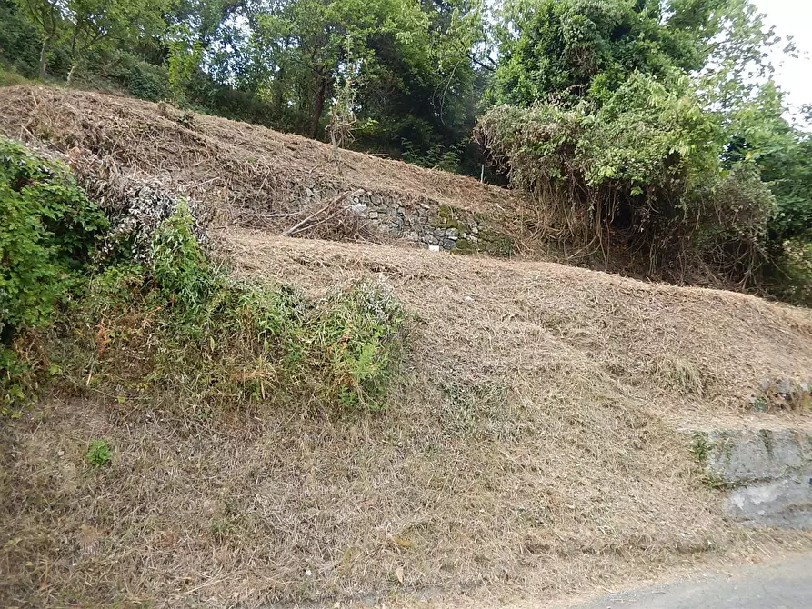 Immagine 9 di Rustico / casale in vendita  in Via alla Chiesa 96 a Castiglione Chiavarese