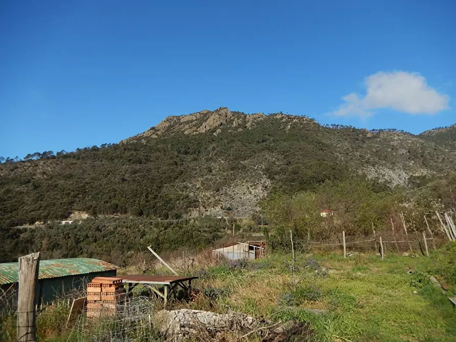 Immagine 8 di Rustico / casale in vendita  in Via Reccio 33 a Casarza Ligure