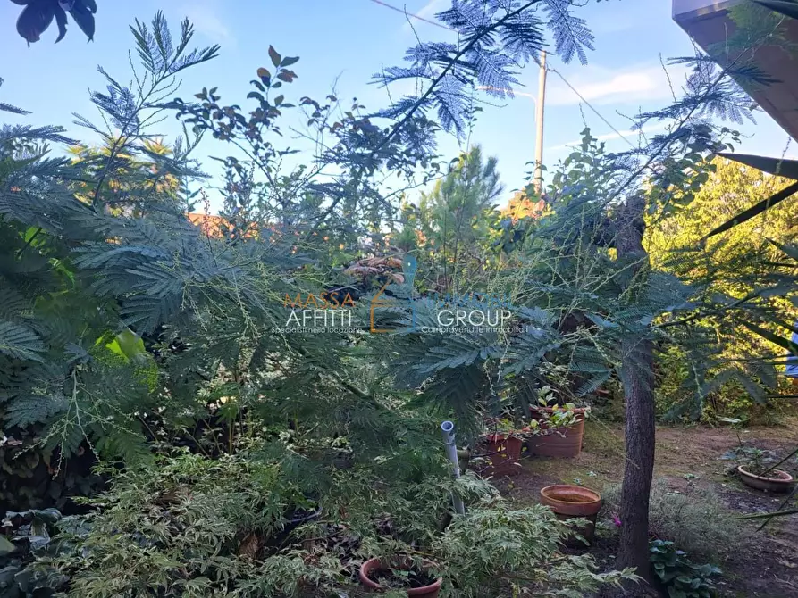 Immagine 7 di Terratetto in vendita  in Via San Leonardo 70 a Massa