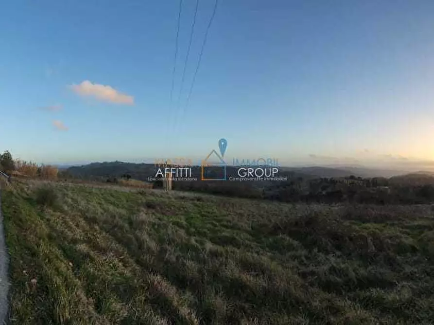Immagine 6 di Terreno agricolo in vendita  in Via Carbonaia a Palaia