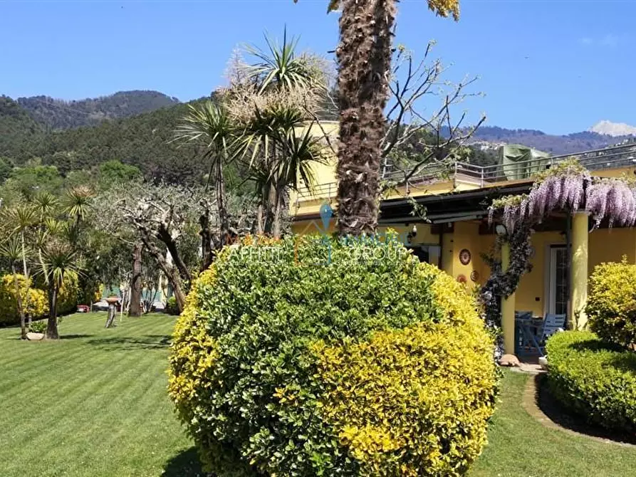 Immagine 6 di Villa in vendita  in Via Capannaccia a Montignoso