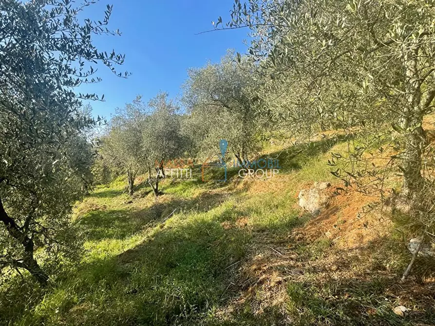 Immagine 45 di Casa indipendente in vendita  in Via San Vitale 7 a Massa