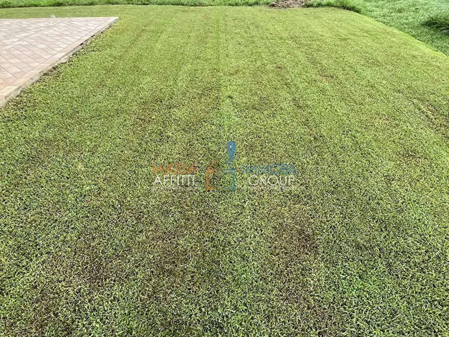 Immagine 10 di Terreno agricolo in vendita  in Via Nespolo 43 a Montignoso