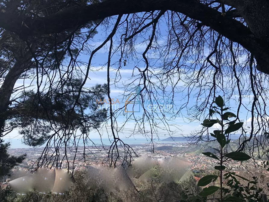 Immagine 20 di Villa in vendita  in Via Tecchioni 5 a Massa