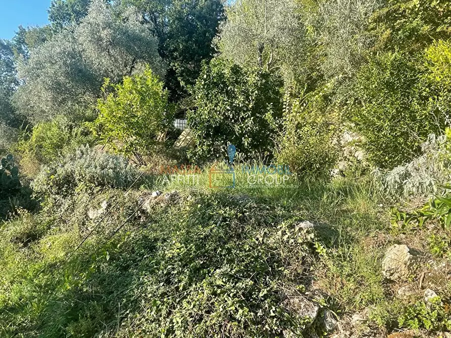 Immagine 59 di Casa indipendente in vendita  in Via San Vitale 7 a Massa