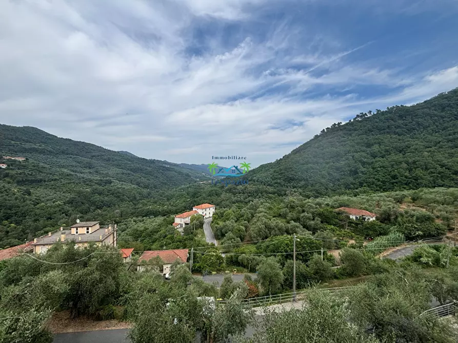 Immagine 2 di Rustico / casale in vendita  in Località Ciantà a Stellanello