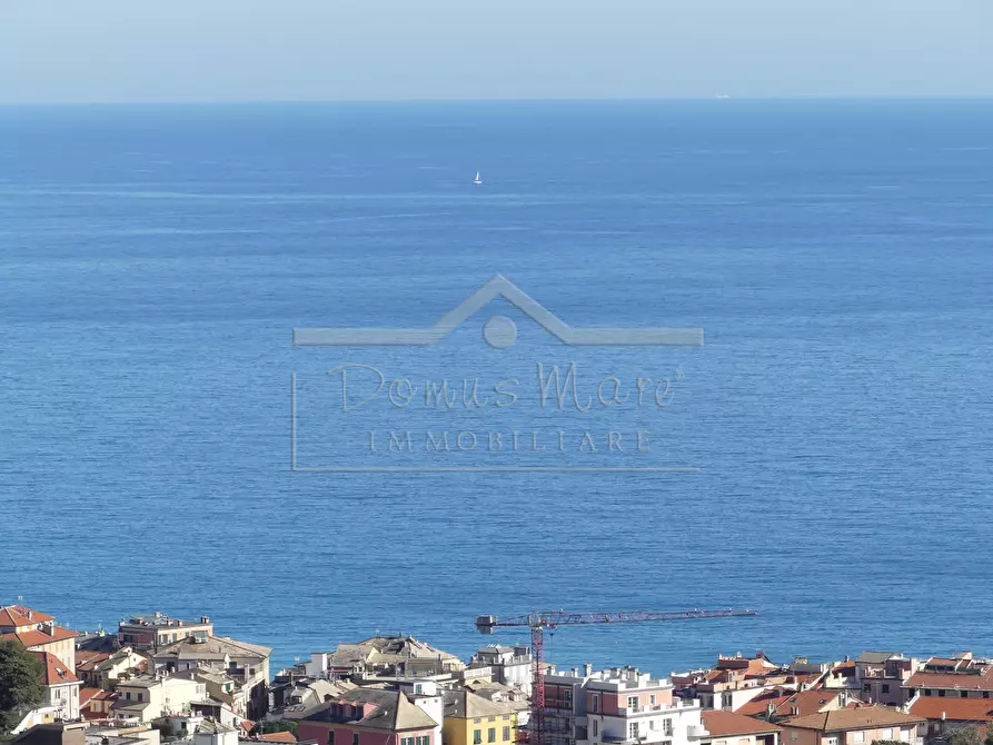 Immagine 3 di Villa in vendita  a Celle Ligure