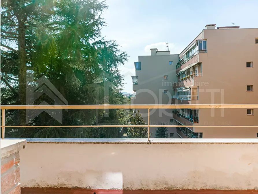 Immagine 23 di Quadrilocale in vendita  in Via del Vigna a Livorno