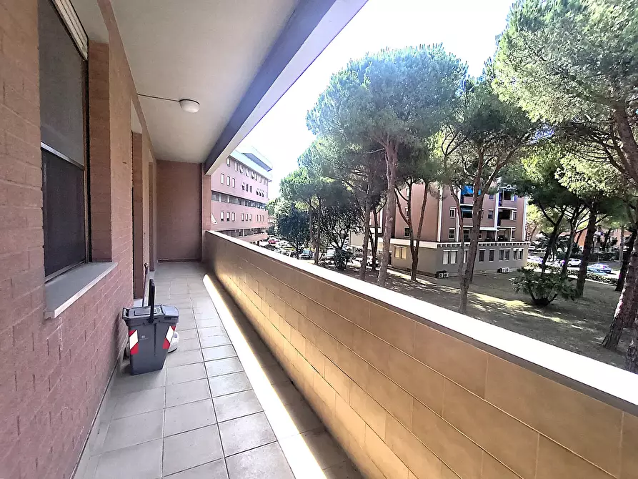 Immagine 5 di Pentalocale in vendita  in Via Ludovico Antonio Muratori a Livorno