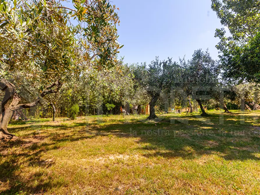 Immagine 20 di Terreno agricolo in vendita  in Via dell'Uliveta a Livorno