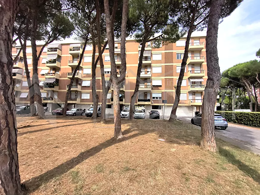 Immagine 18 di Pentalocale in vendita  in Via Tommaseo a Livorno
