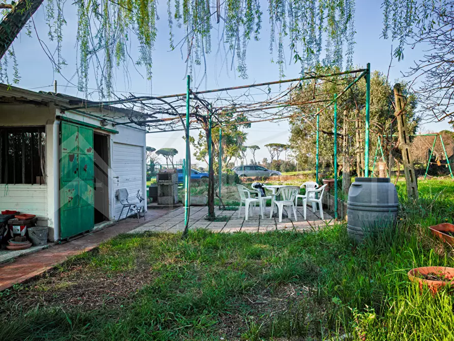 Immagine 12 di Terreno agricolo in vendita  in Via delle Sorgenti a Livorno