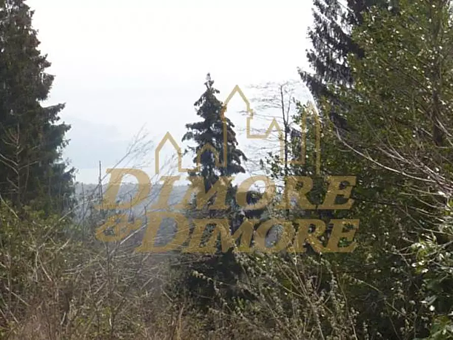 Immagine 2 di Appartamento in vendita  in Via Pian di Sole 15 a Premeno