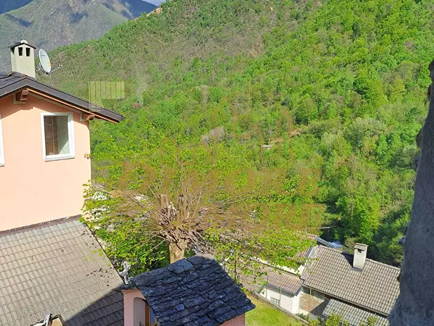 Immagine 16 di Baita in vendita  a Gurro