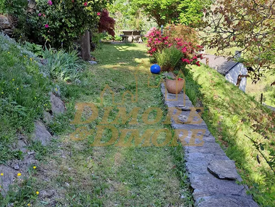 Immagine 37 di Baita in vendita  a Gurro