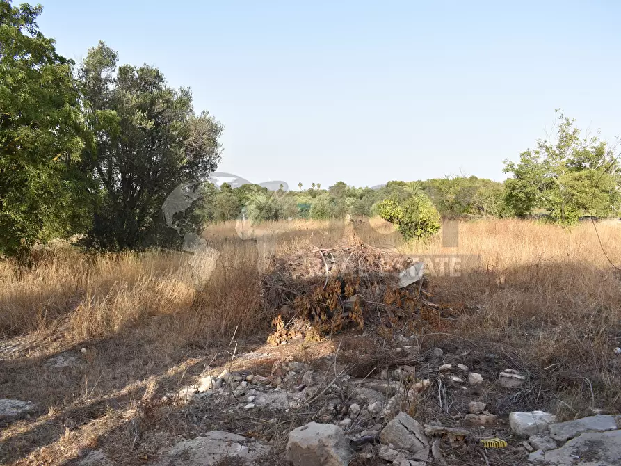 Immagine 21 di Villa in vendita  in Strada Comunale Castello Forcignano 26 a Galatone