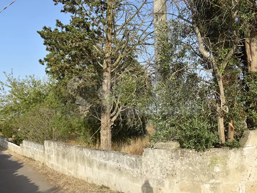 Immagine 23 di Villa in vendita  in Strada Comunale Castello Forcignano 26 a Galatone