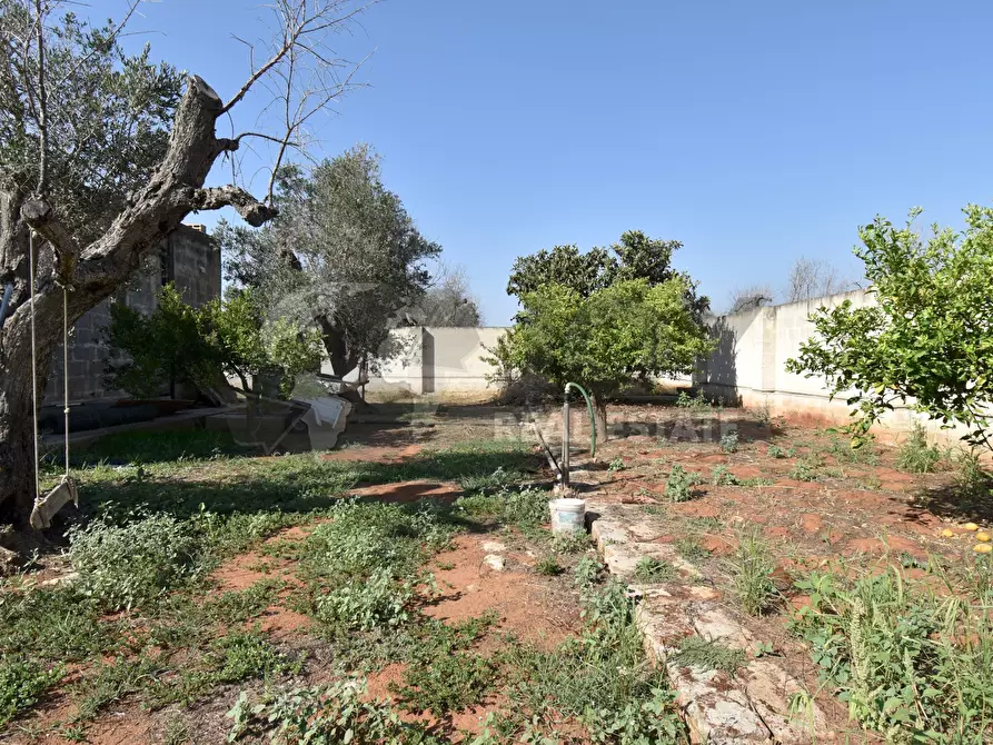 Immagine 22 di Casa indipendente in vendita  in Via Bernardino Desa 14 a Copertino