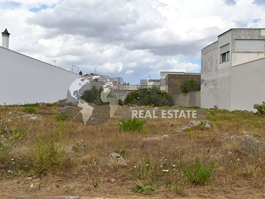 Immagine 10 di Terreno agricolo in vendita  in via morandi a San Donato Di Lecce
