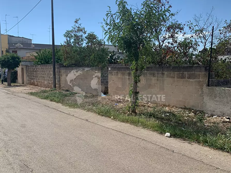 Immagine 5 di Terreno agricolo in vendita  in Via Monsignor Paladini 4 a Carmiano