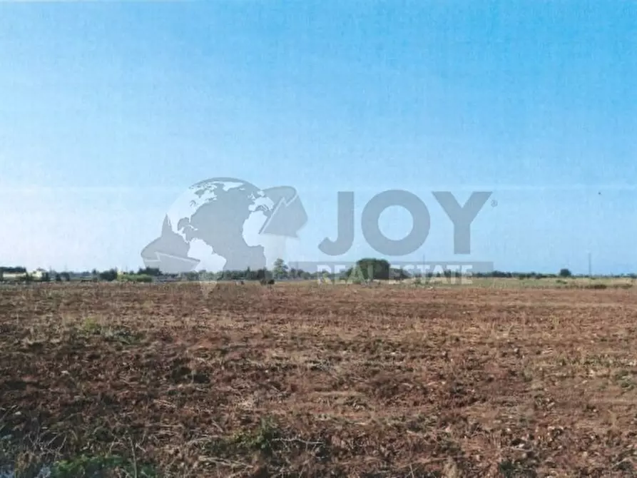 Immagine 3 di Terreno agricolo in vendita  in Via del Codibugnolo a Lecce