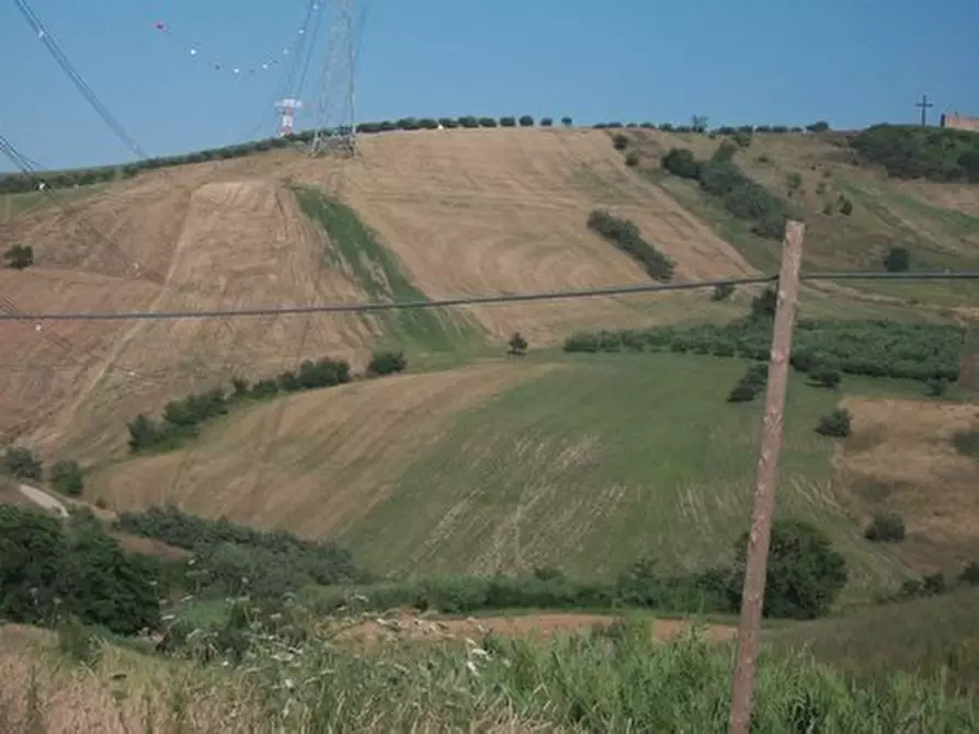 Immagine 10 di Terreno agricolo in vendita  in C.DA RIZZACORNO a Lanciano