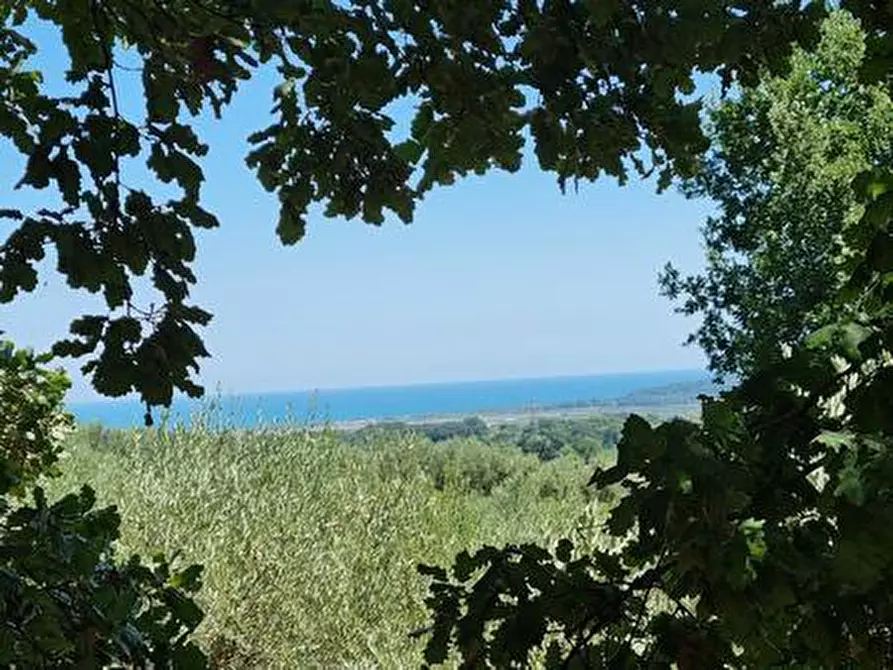 Immagine 10 di Terreno agricolo in vendita  a Santa Maria Imbaro